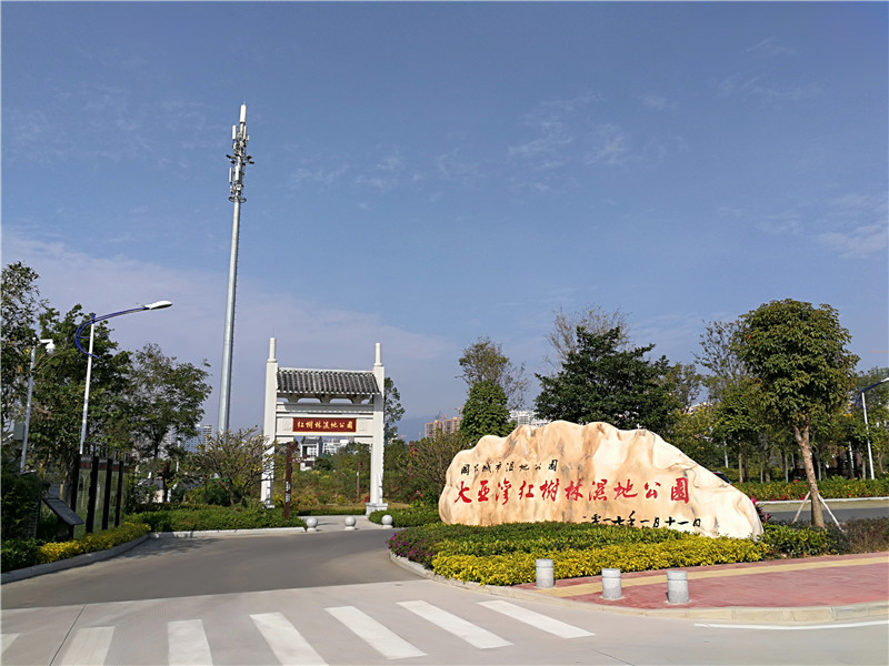 大亚湾红树林湿地公园.jpg