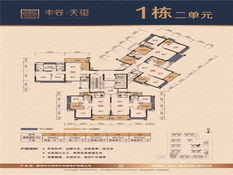 丰谷天玺1栋2单元户型图.jpg