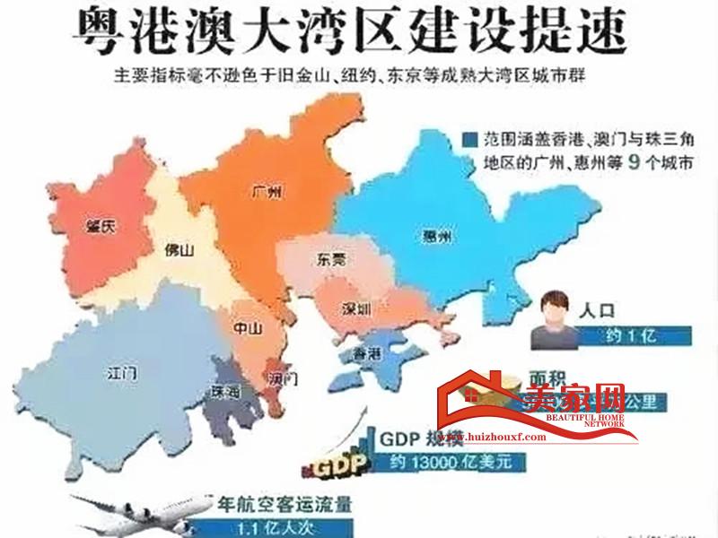 粤港澳大湾区效果图